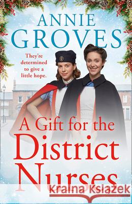 A Gift for the District Nurses Annie Groves 9780008402334 