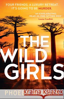 The Wild Girls Phoebe Morgan 9780008406967