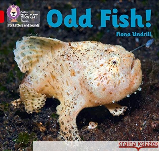 Odd Fish!: Band 02b/Red B Undrill, Fiona 9780008410223 HarperCollins Publishers