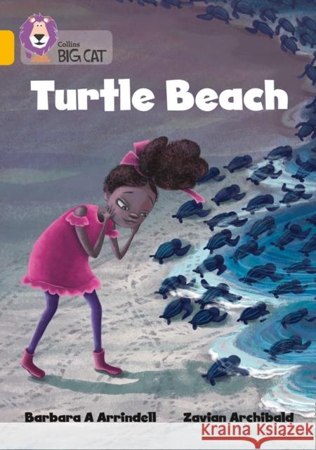 Turtle Beach: Band 09/Gold Barbara Arrindell Collins Big Cat 9780008413873 Collins Publishers