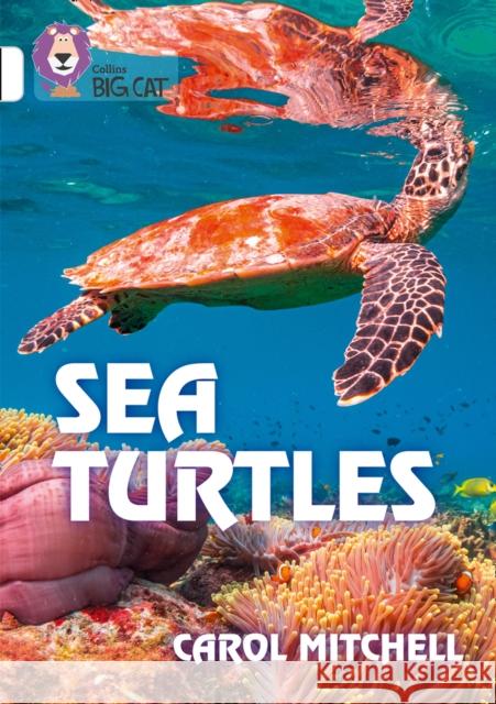 Sea Turtles: Band 10/White Carol Mitchell 9780008432201 HarperCollins Publishers