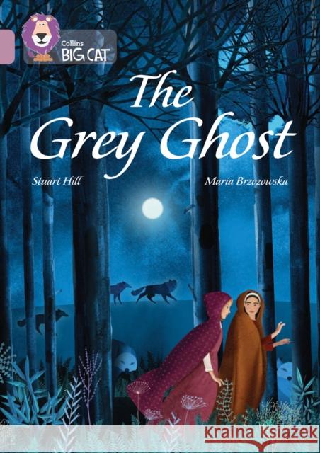 The Grey Ghost: Band 18/Pearl Stuart Hill 9780008440732