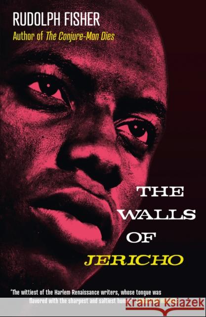 The Walls of Jericho Rudolph Fisher 9780008444358