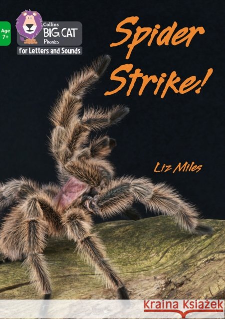 Spider Strike!: Band 05/Green Liz Miles 9780008446499