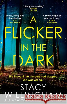 A Flicker in the Dark Stacy Willingham 9780008454487