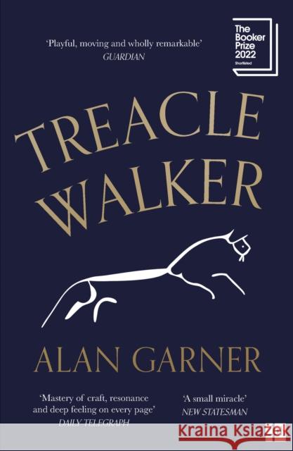 Treacle Walker Alan Garner 9780008477806