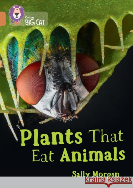 Plants that Eat Animals: Band 12/Copper Sally Morgan 9780008479046