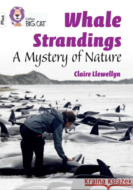 Whale Strandings: A Mystery of Nature: Band 10+/White Plus Claire Llewellyn 9780008485573