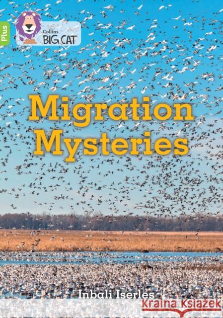 Migration Mysteries: Band 11+/Lime Plus Inbali Iserles 9780008485603 HarperCollins Publishers