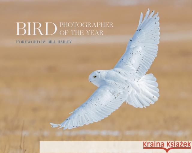 Bird Photographer of the Year: Collection 6 Bird Photographer of the Year 9780008496241 HarperCollins Publishers