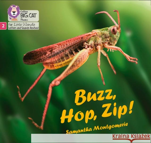 Buzz, Hop, Zip!: Phase 2 Set 5 Samantha Montgomerie 9780008502478 HarperCollins Publishers