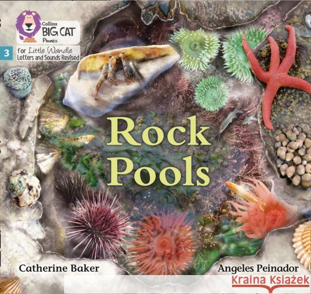 Rock Pools: Phase 3 Set 1  9780008504151 HarperCollins Publishers