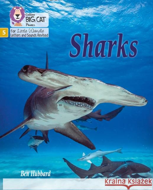 Sharks: Phase 5 Set 1 Hubbard, Ben 9780008504625 HarperCollins Publishers