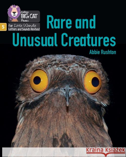 Rare and Unusual Creatures: Phase 5 Set 5 Stretch and Challenge Abbie Rushton 9780008539078 HarperCollins Publishers