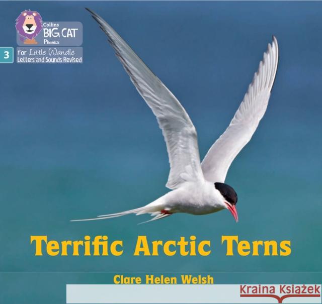 Terrific Arctic Terns: Phase 3 Set 2 Clare Helen Welsh 9780008540746