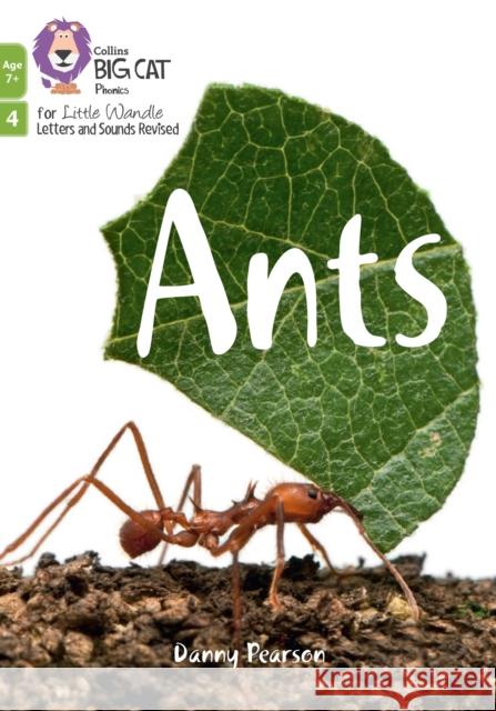 Ants: Phase 4 Set 2 Danny Pearson 9780008551889