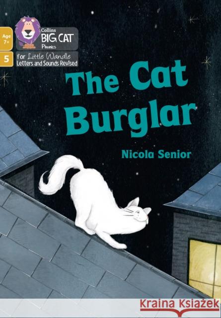 The Cat Burglar: Phase 5 Set 1 Nicola Senior 9780008551940 HarperCollins Publishers