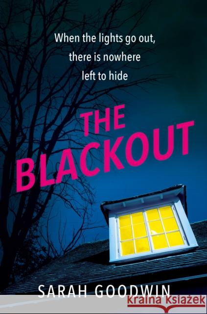 The Blackout Sarah Goodwin 9780008591571 HarperCollins Publishers