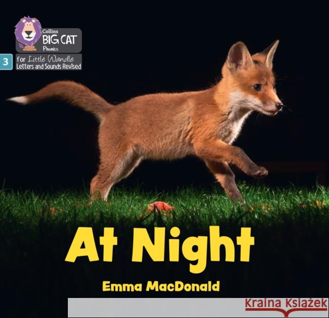 At Night: Phase 3 Set 1 Blending Practice Emma MacDonald 9780008668334 HarperCollins Publishers