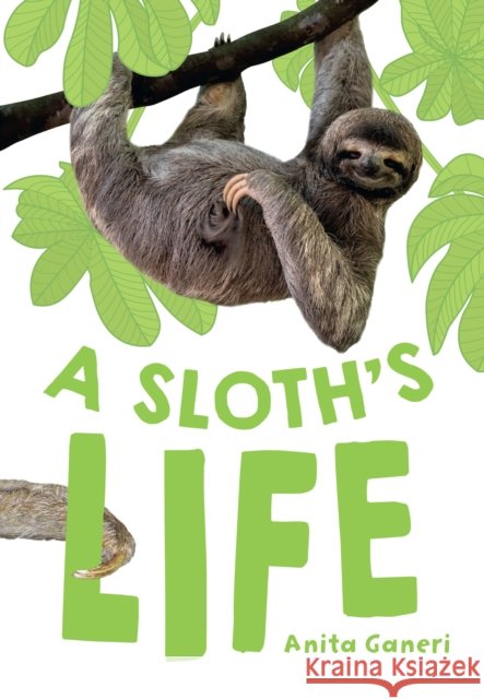 A Sloth's Life: Fluency 7 Anita Ganeri 9780008681173
