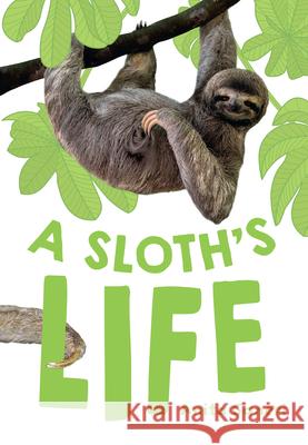 A Sloth's Life Anita Ganeri 9780008681173