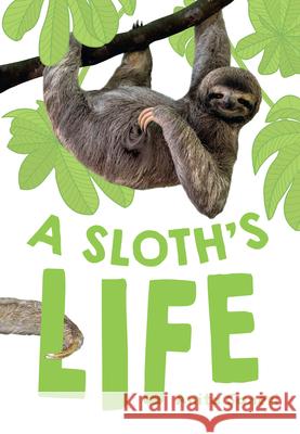 A Sloth's Life: Fluency 7 Anita Ganeri 9780008681173