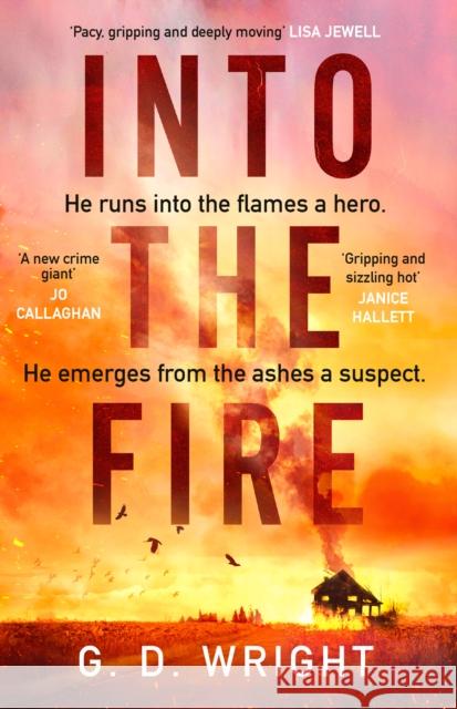 Into the Fire G. D. Wright 9780008702434 HarperCollins Publishers