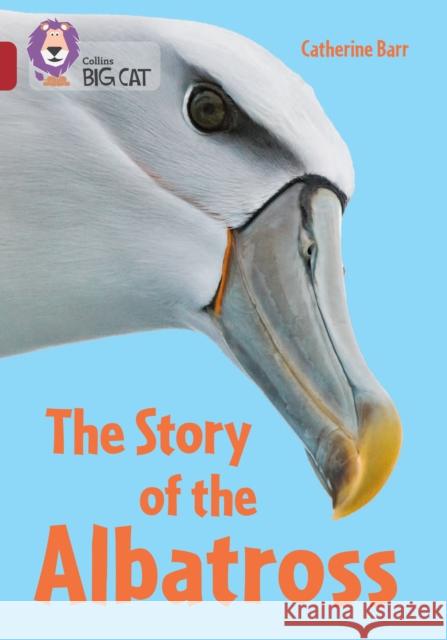 The Story of the Albatross: Band 14/Ruby Catherine Barr 9780008704438