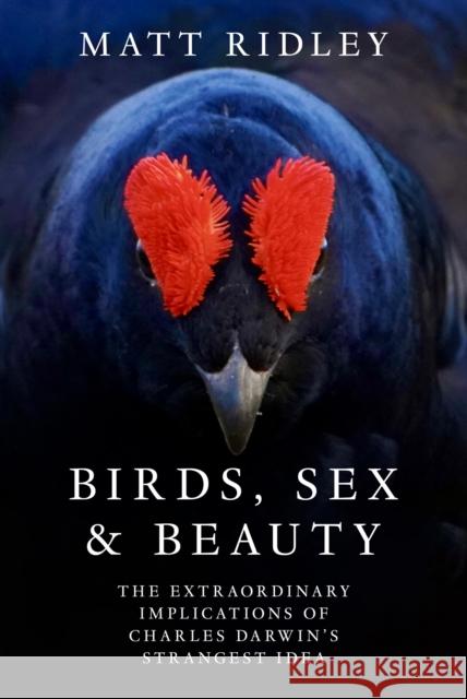 Birds, Sex and Beauty: The extraordinary implications of Charles Darwin's strangest idea Matt Ridley 9780008750510