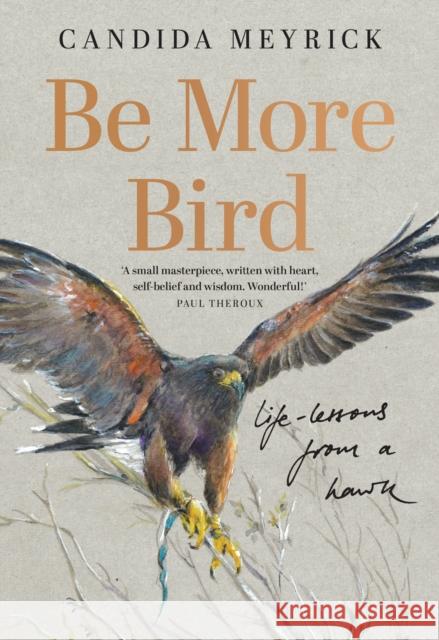 Be More Bird: Life Lessons from a Hawk Candida Meyrick 9780008761523 HarperCollins Publishers