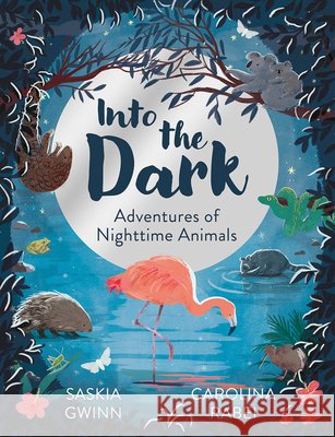 Into the Dark Saskia Gwinn 9780008767464
