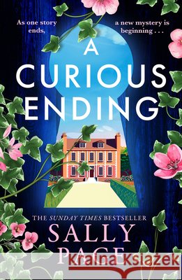 A Curious Ending Sally Page 9780008767570