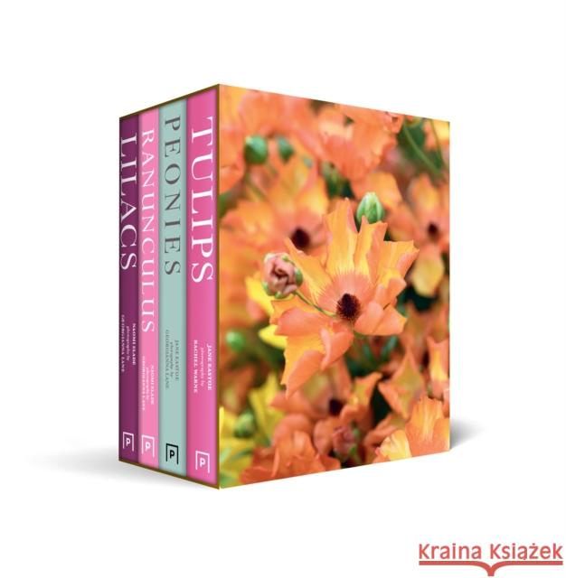 Beautiful Varieties Boxset Jane Eastoe 9780008770402