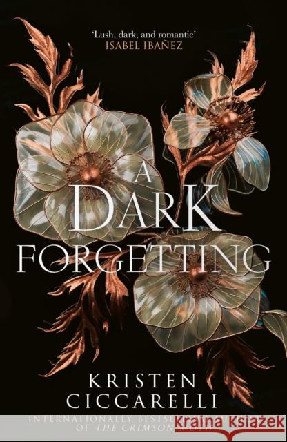 A Dark Forgetting Kristen Ciccarelli 9780008783921