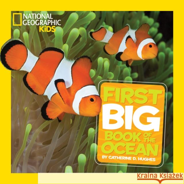 Little Kids First Big Book of The Ocean Catherine D. Hughes 9780008825201