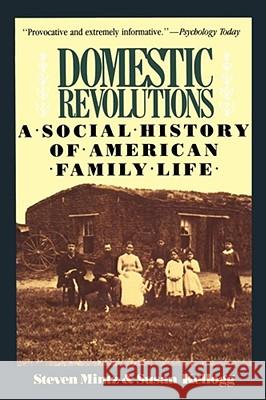 Domestic Revolutions : A Social History Of American Family Life Steven Mintz Susan Kellogg 9780029212912 
