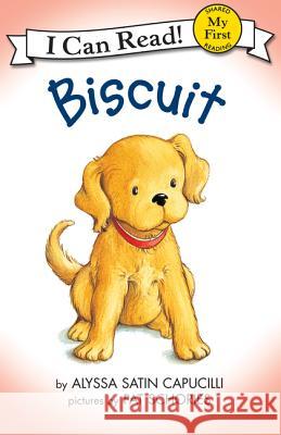 Biscuit Alyssa Satin Capucilli Pat Schories 9780060261979 HarperCollins Publishers