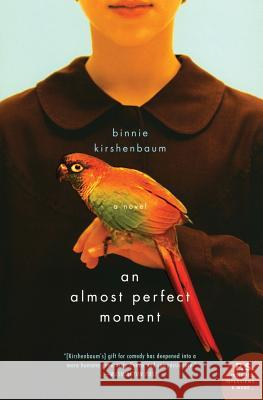 An Almost Perfect Moment Binnie Kirshenbaum 9780060520878