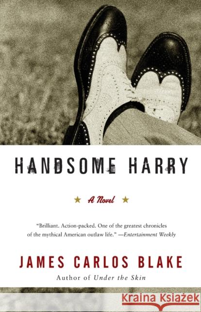 Handsome Harry James Carlos Blake 9780060554798 Harper Perennial