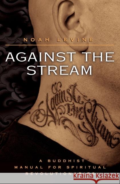 Against the Stream: A Buddhist Manual for Spiritual Revolutionaries Noah Levine 9780060736644 
