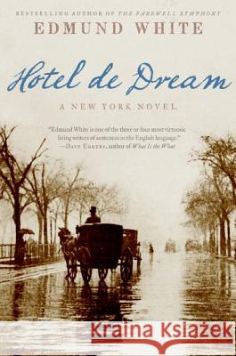 Hotel de Dream: A New York Novel Edmund White 9780060852269 Harper Perennial