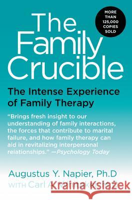 The Family Crucible: The Intense Experience of Family Therapy Augustus Napier 9780060914899 HarperCollins Publishers