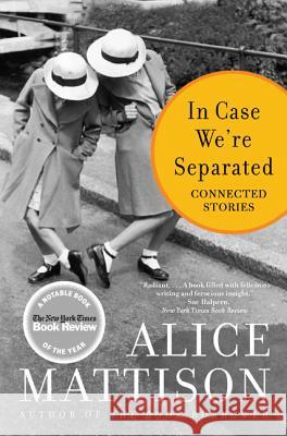 In Case We're Separated: Connected Stories Alice Mattison 9780060937898 Harper Perennial