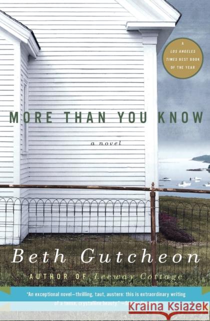 More Than You Know Beth Gutcheon 9780060959357