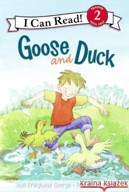 Goose and Duck Priscilla Lamont 9780061170768 Laura Geringer Book