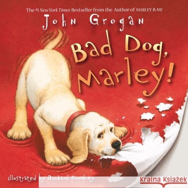 Bad Dog, Marley! John Grogan Richard Cowdrey 9780061171161