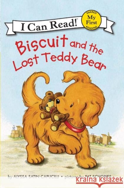 Biscuit and the Lost Teddy Bear Alyssa Satin Capucilli Pat Schories 9780061177514