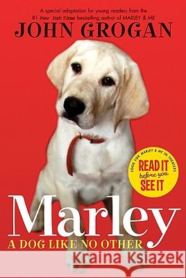 Marley: A Dog Like No Other Grogan, John 9780061240355 Collins