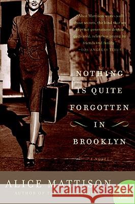 Nothing Is Quite Forgotten in Brooklyn Alice Mattison 9780061430558 Harper Perennial