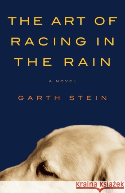 The Art of Racing in the Rain Garth Stein 9780061537936 Harper